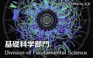 基礎科学部門